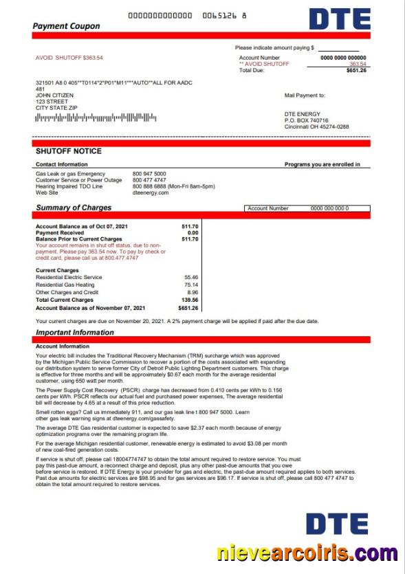Professional USA Michigan DTE Energy Utility Bill Template In Word And PDF Format