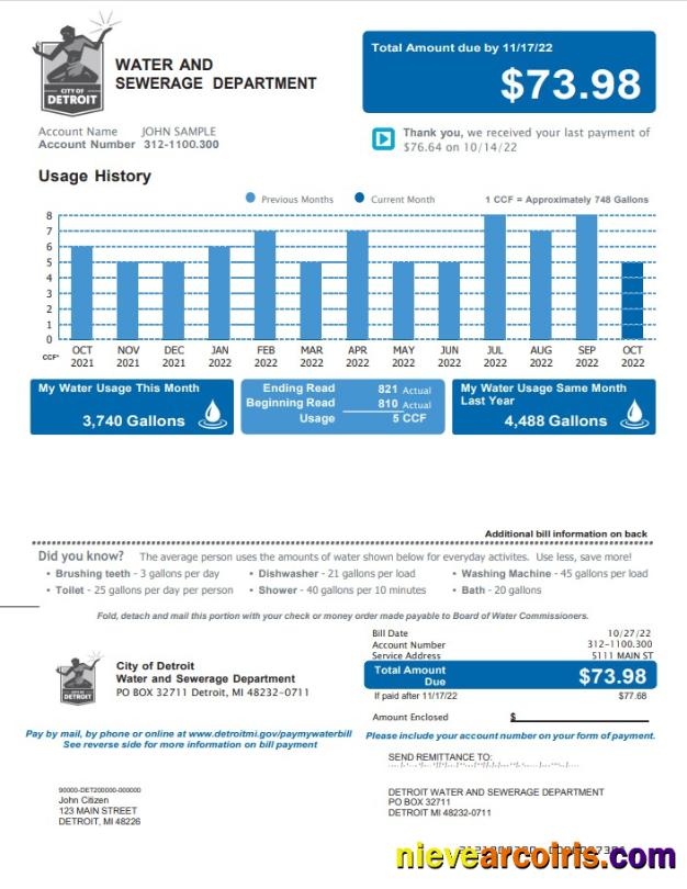 Premium USA Michigan Water And Sewerage Department Utility Bill, Word And PDF Template, 2 Pages 1