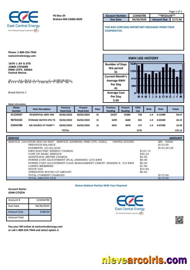 Professional USA Minnesota East Central Energy Utility Bill Template In Word And PDF (.doc And .pdf) Format