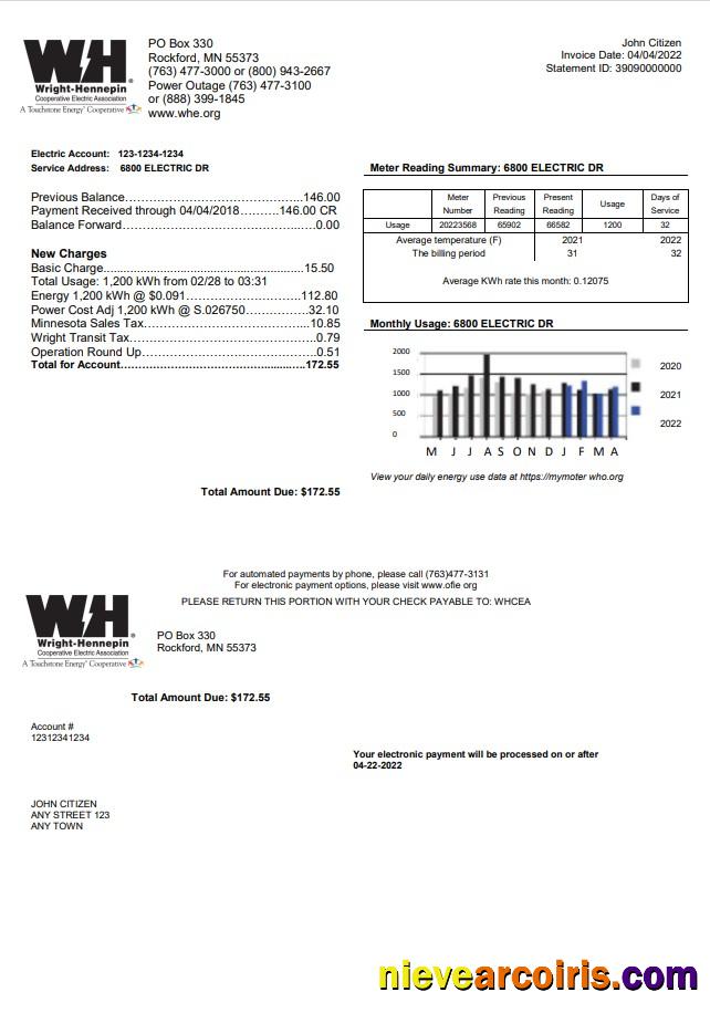 Premium USA Minnesota Wright Hennepin Utility Bill Template In Word And PDF Format