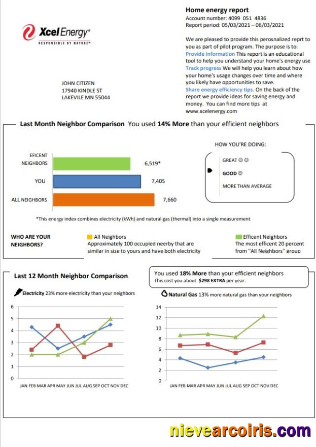 Premium USA Minnesota Xcel Energy Utility Bill Template In Word And PDF Format (.doc And .pdf)