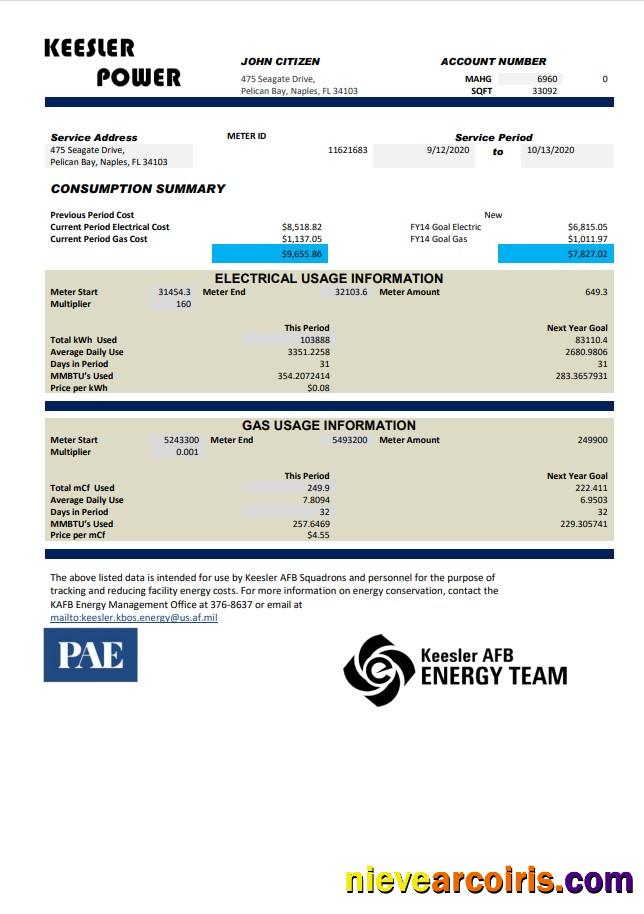 Professional USA Mississippi Keesler AFB Energy Utility Bill Template In Word And PDF Format