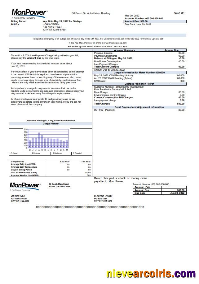 Realistic USA Mon Power Utility Bill Template In Word And PDF Format