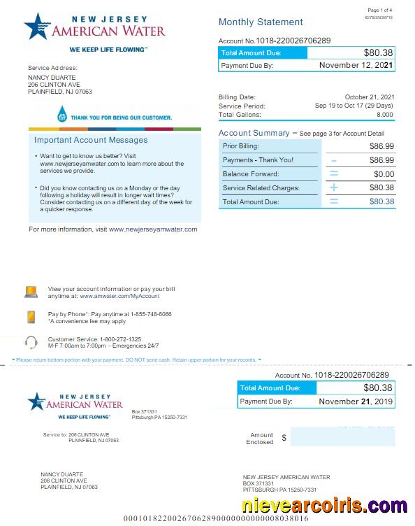 Professional USA NEW JERSEY AMERICAN WATER Utility Bill Word And PDF Template