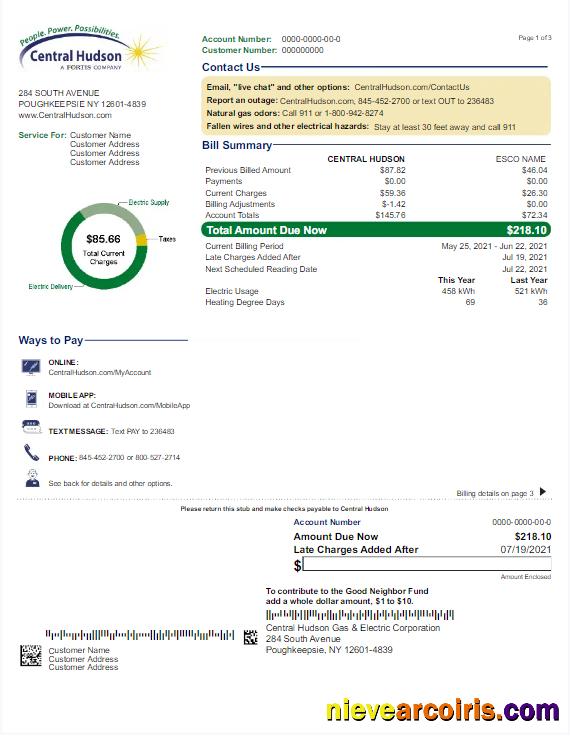 Professional USA NEW YORK CENTRAL HUDSON Utility Bill Word And PDF Template