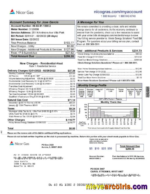 Editable USA NICOR GAS Utility Bill Word And PDF Template