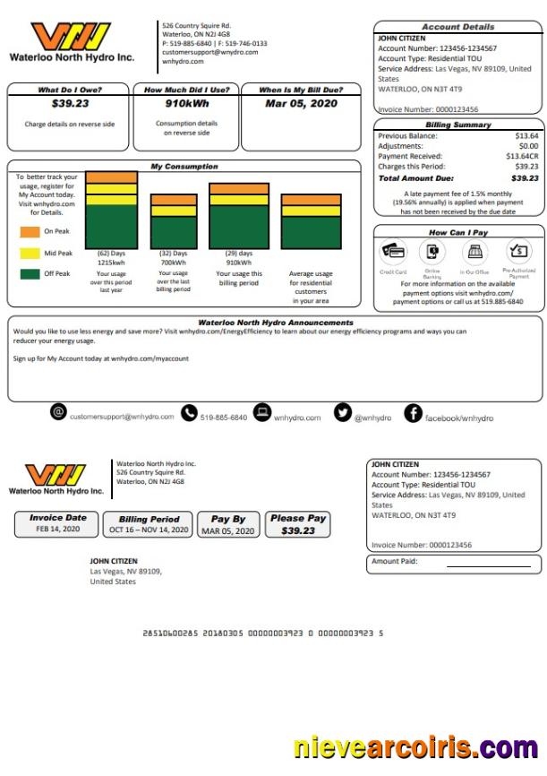 Professional USA Nevada Waterloo North Hydro Utility Bill Template In Word And PDF Format (version 2)
