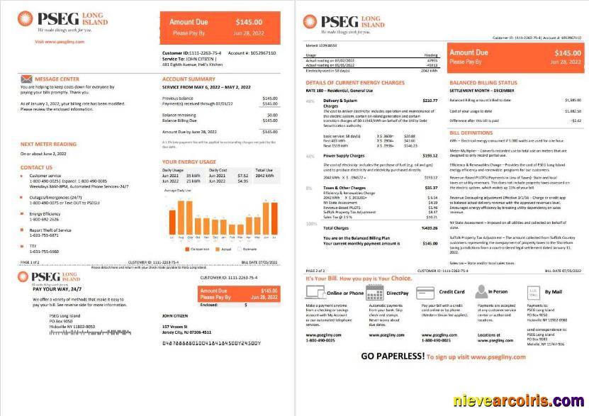Realistic USA New Jersey PSEG Electricity Utility Bill Template In Word And PDF Format, 2 Pages