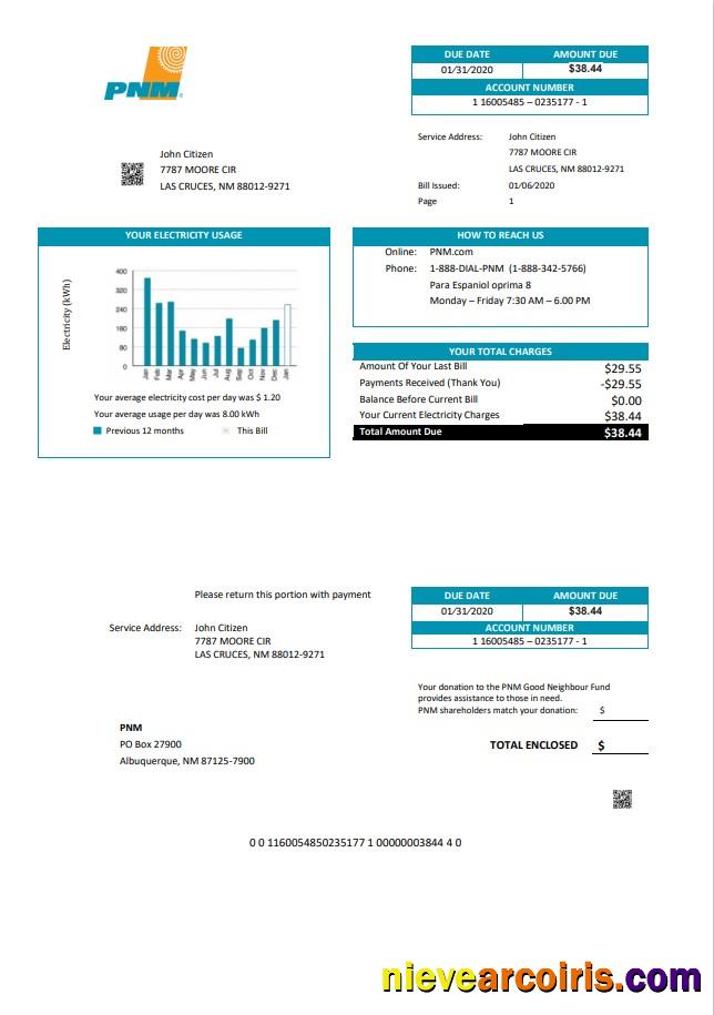Professional USA New Mexico PNM Easy Fillable Utility Bill Template In Word And PDF Format (.doc And .pdf)