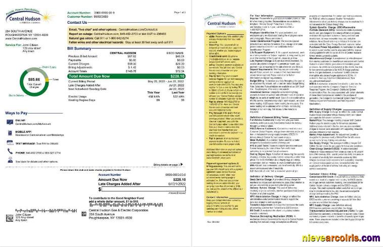 Professional USA New York Central Hudson A Fortis Company Utility Bill, Word And PDF Template, 3 Pages 1 2