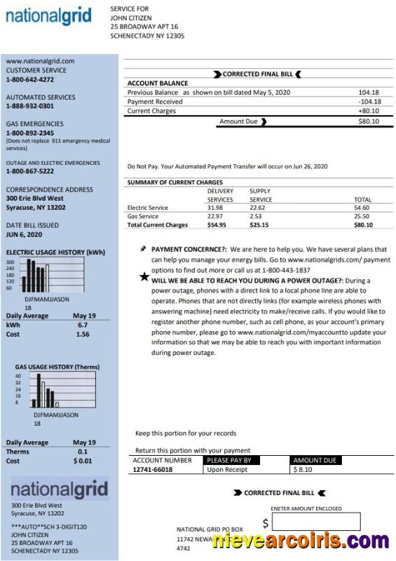 Professional USA New York National Grid Utility Bill Template In Word And PDF Format