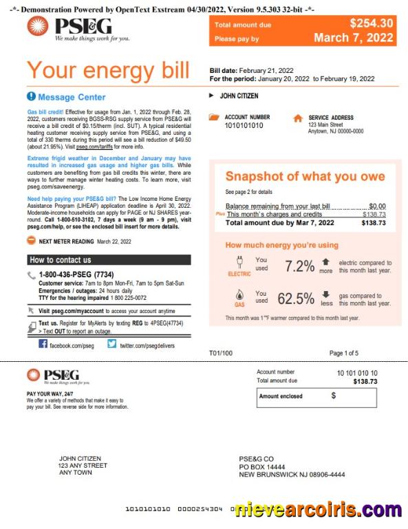 Realistic USA New York PSEG Utility Bill, Word And PDF Template, 5 Pages 1