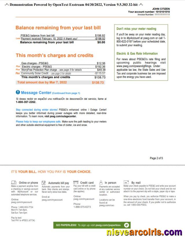 Premium USA New York PSEG Utility Bill, Word And PDF Template, 5 Pages 2