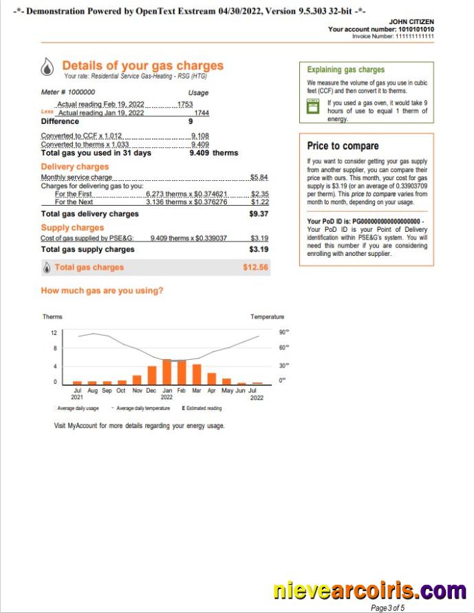 Realistic USA New York PSEG Utility Bill, Word And PDF Template, 5 Pages 3