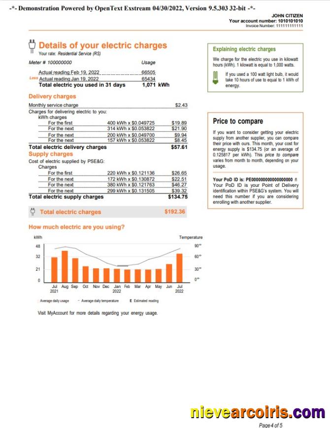 Realistic USA New York PSEG Utility Bill, Word And PDF Template, 5 Pages 4