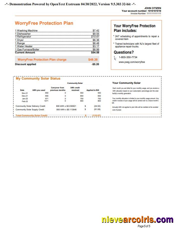 Editable USA New York PSEG Utility Bill, Word And PDF Template, 5 Pages 5