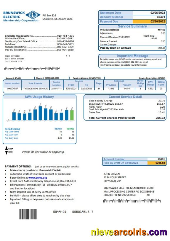 Professional USA North Carolina Brunswick Electric Utility Bill Template In Word And PDF Format