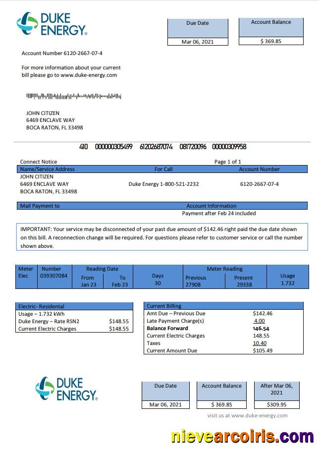 Professional USA North Carolina Duke Energy Utility Bill Template In Word And PDF Format