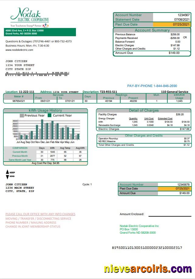 Professional USA North Dakota Nodak Electric Cooperative Utility Bill Template In Word And PDF Format