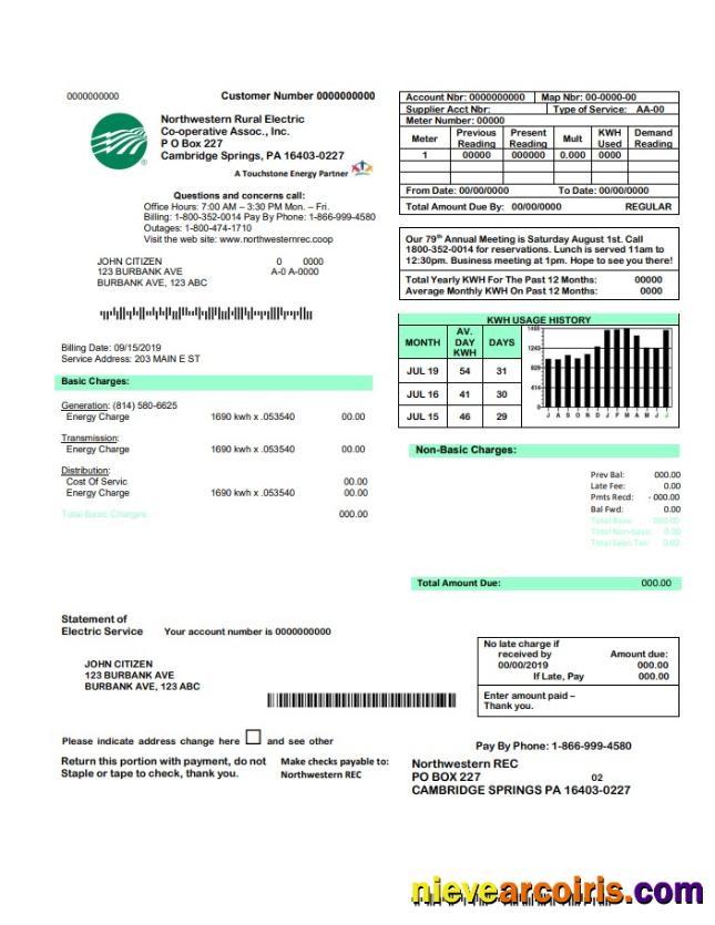 Realistic USA Northwestern Rural Electric Utility Bill Template, Fully Editable In Word And PDF Format
