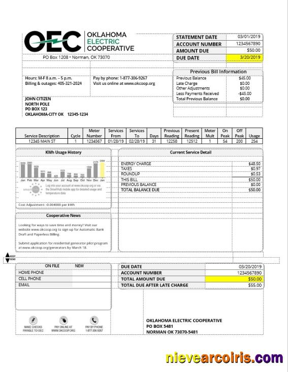 Editable USA OEC Electricity Utility Bill Template In Word And PDF Format