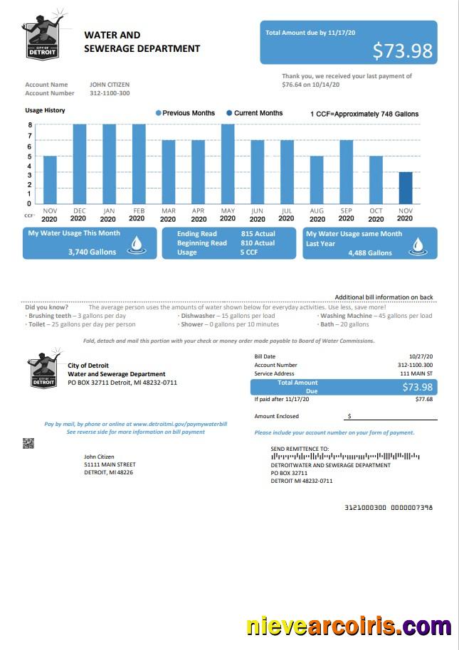 Professional USA Ohio City Of Detroit Water Utility Bill Template In Word And PDF Format