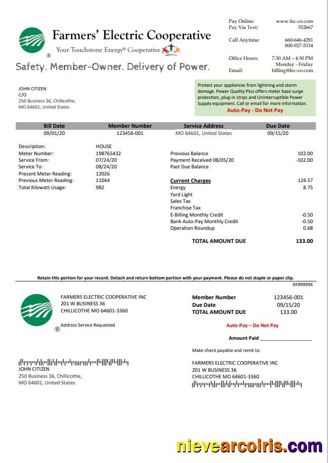Professional USA Ohio Farmer’s Electric Cooperative Utility Bill Template In Word An PDF Format