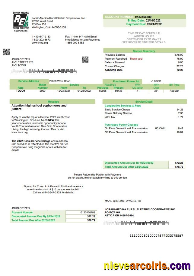 Premium USA Ohio Lorain Medina Rural Electric Utility Bill Template In Word And PDF Format