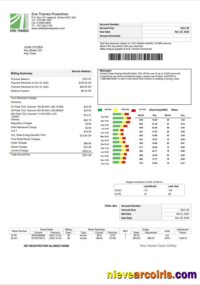 Realistic USA Ontario Erie Thames Utility Bill Template In Word And PDF Format
