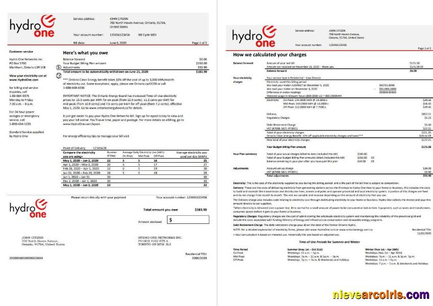 Professional USA Ontario’s Hydro One Electricity Utility Bill Template In Word And PDF Format (2 Pages)