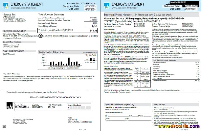 Premium USA PG&E Utility Bill Template In Word And PDF Formats, 3 Pages, 1 2 Pages