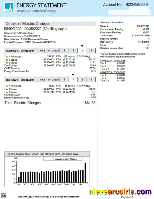 Professional USA PG&E Utility Bill Template In Word And PDF Formats, 3 Pages, 3rd Page