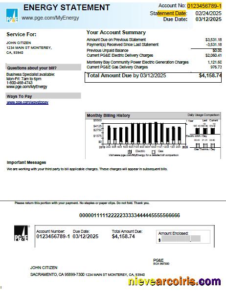 Professional USA PG&E Utility Bill Template In Word And PDF Formats, Version 2