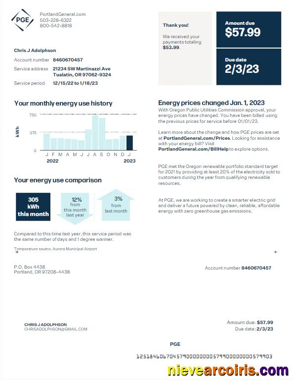 Editable USA PGE Utility Bill Word And PDF Template