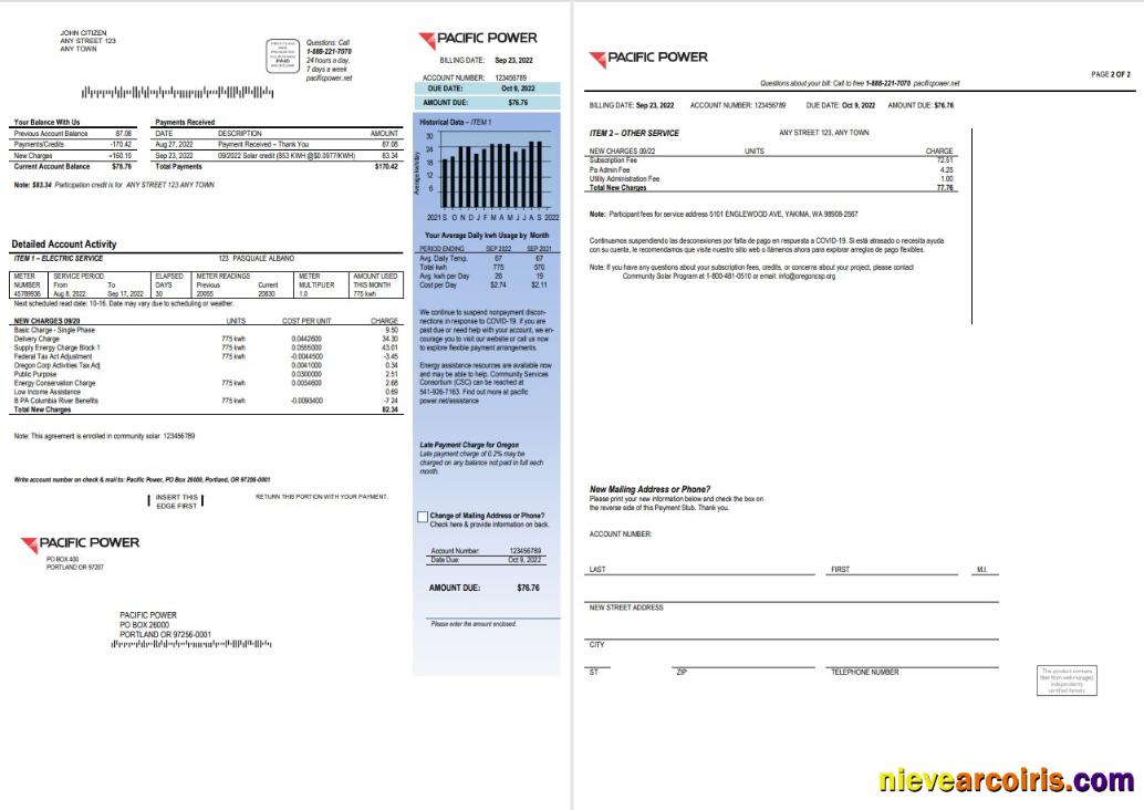 Professional USA Pacific Power Utility Bill, Word And PDF Template, 2 Pages