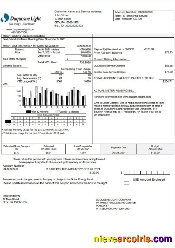 Professional USA Pennsylvania Duquesne Light Company Utility Bill Template In Word And PDF Format