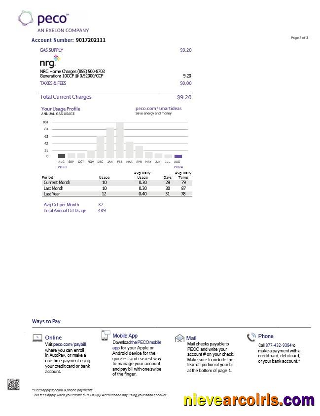 USA Pennsylvania PECO Electric And Gas Utility Bill, 3 Pages 2 Preview