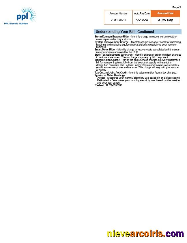 USA Pennsylvania PPL Electric Utility Bill, 3 Pages 2 Photolook