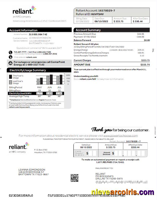 Editable USA RELIANT Utility Bill Word And PDF Template