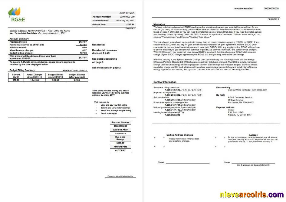Realistic USA RG&E Utility Bill Template In Word And PDF Format (2 Pages) 1 2