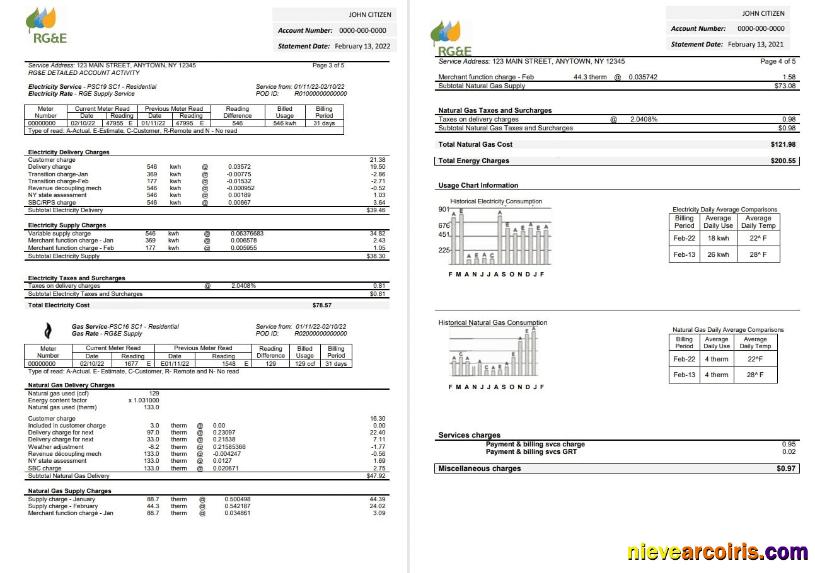 Premium USA RG&E Utility Bill Template In Word And PDF Format (2 Pages) 3 4