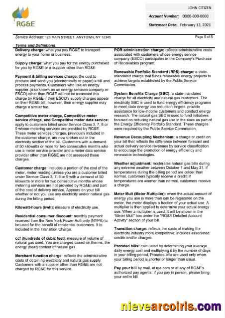 Editable USA RG&E Utility Bill Template In Word And PDF Format (2 Pages) 5