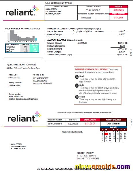 Realistic USA Reliant Energy Utility Bill Template In Word And PDF Formats