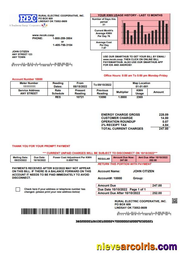 Editable USA Rural Electric Cooperative Utility Bill Template In Word And PDF Format