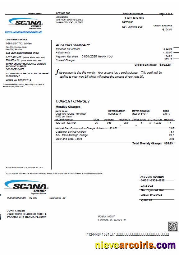 Premium USA SCANA Energy Utility Bill Template In Word And PDF Formats
