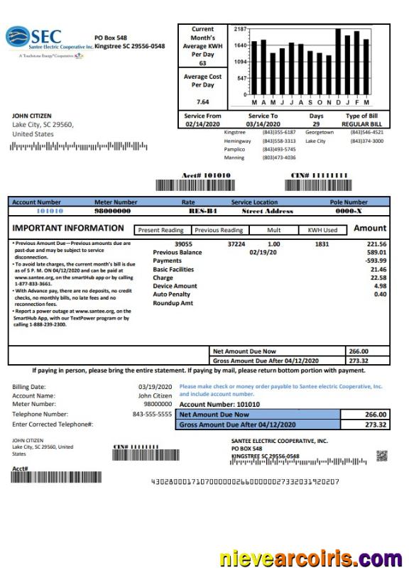Premium USA South Carolina Santee Electric Cooperative (SEC) Proof Of Address Utility Bill Template In Word And PDF Format