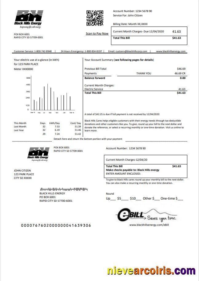 Realistic USA South Dakota Black Hills Energy Utility Bill Template In Word And PDF Format