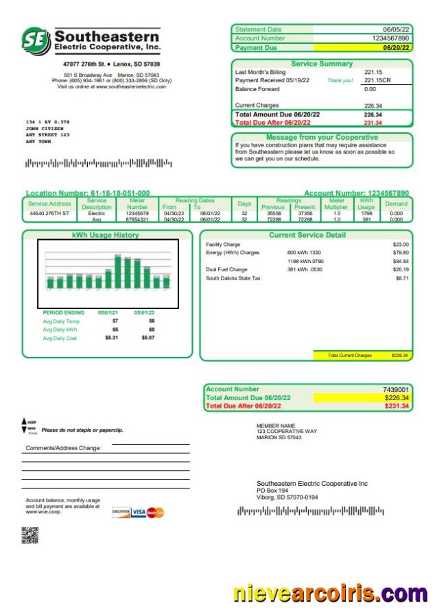 Professional USA South Dakota Southeastern Electric Utility Bill Template In Word And PDF Format