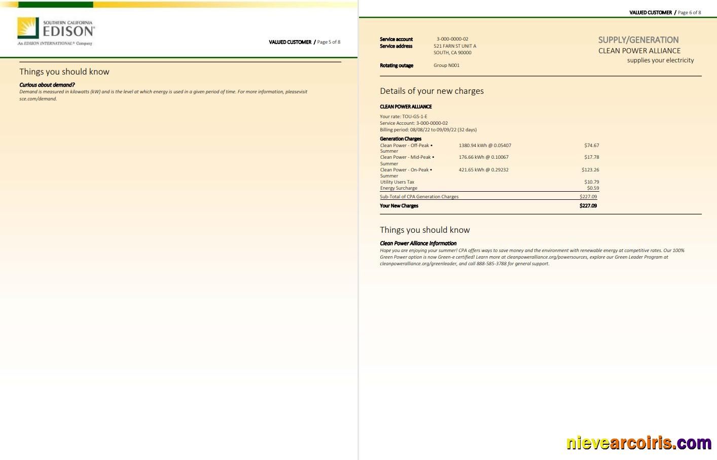 Premium USA Southern California EDISON Utility Bill, Word And PDF Template, 8 Pages 5 6