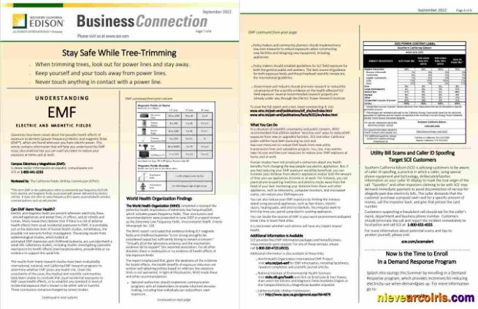 Premium USA Southern California EDISON Utility Bill, Word And PDF Template, 8 Pages 7 8